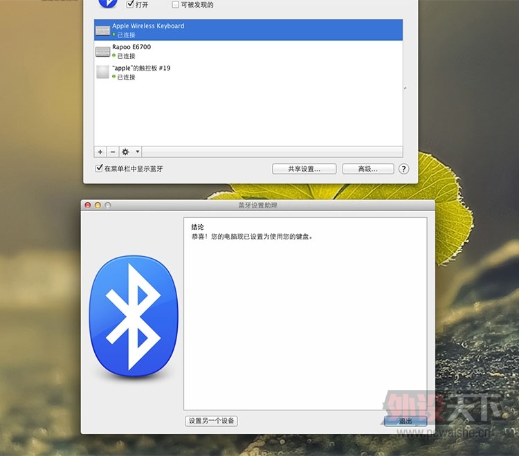 װRAPOOE6700S500 䣫ñ