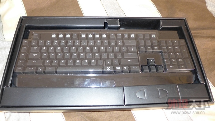 P1000107.JPG