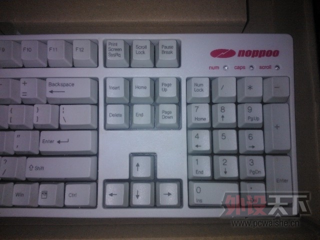 �ϰ� NOPPOO ȫ��250���� ���۳���