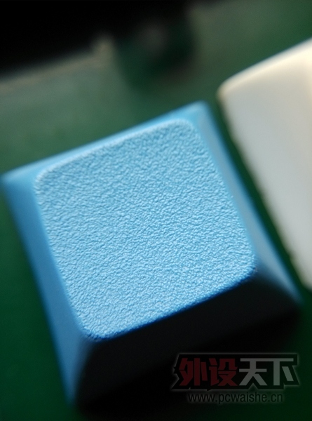 [�Ϻ�]DSA��ñ ����87�� PBT