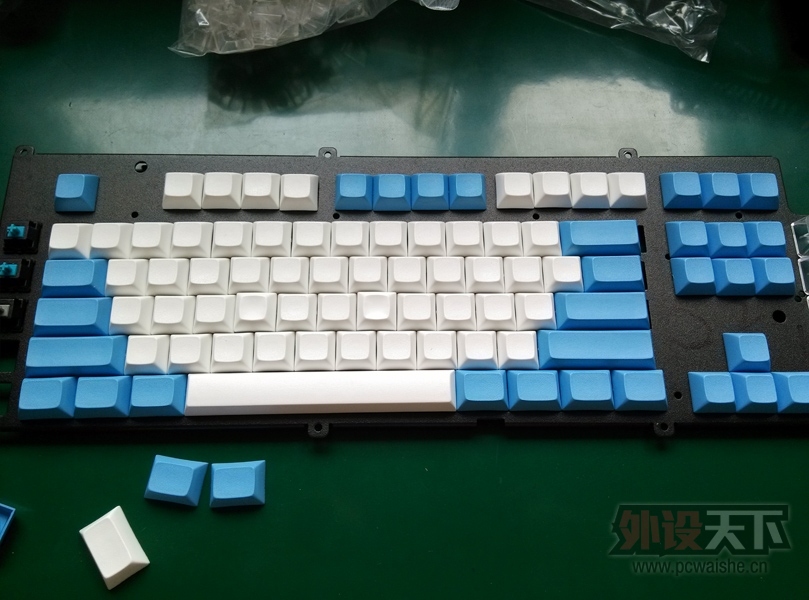 [�Ϻ�]DSA��ñ ����87�� PBT