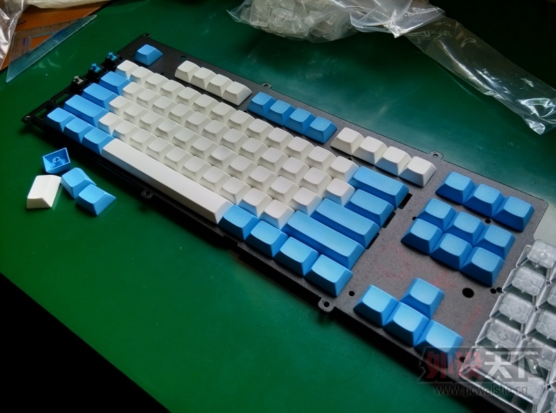 [�Ϻ�]DSA��ñ ����87�� PBT
