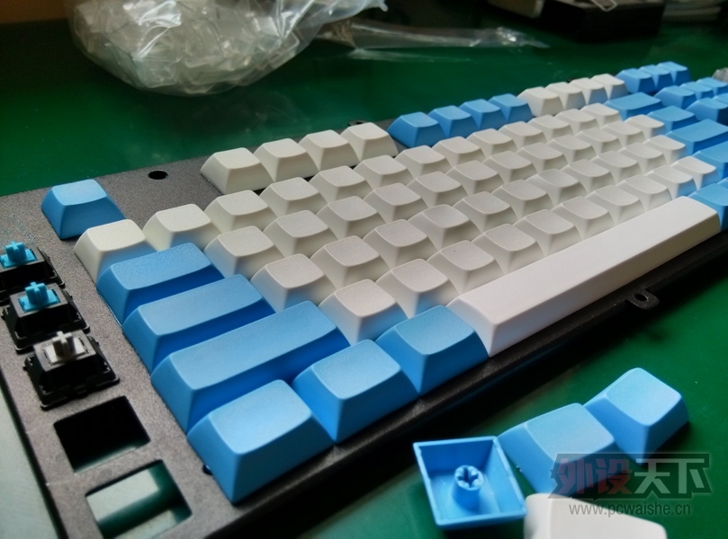 [�Ϻ�]DSA��ñ ����87�� PBT