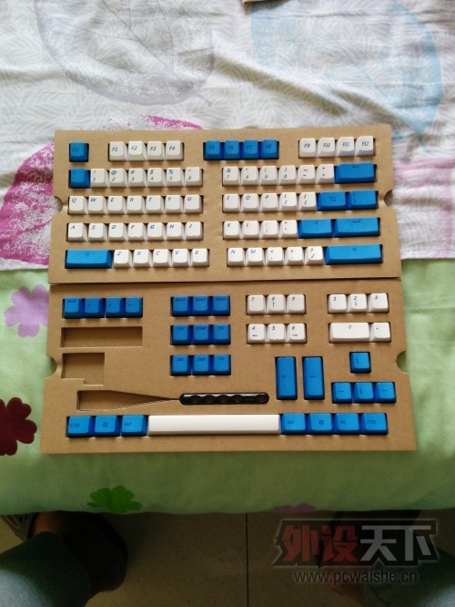 �ҵ����׶�ɫ���ÿ���