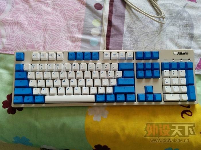 �ҵ����׶�ɫ���ÿ���