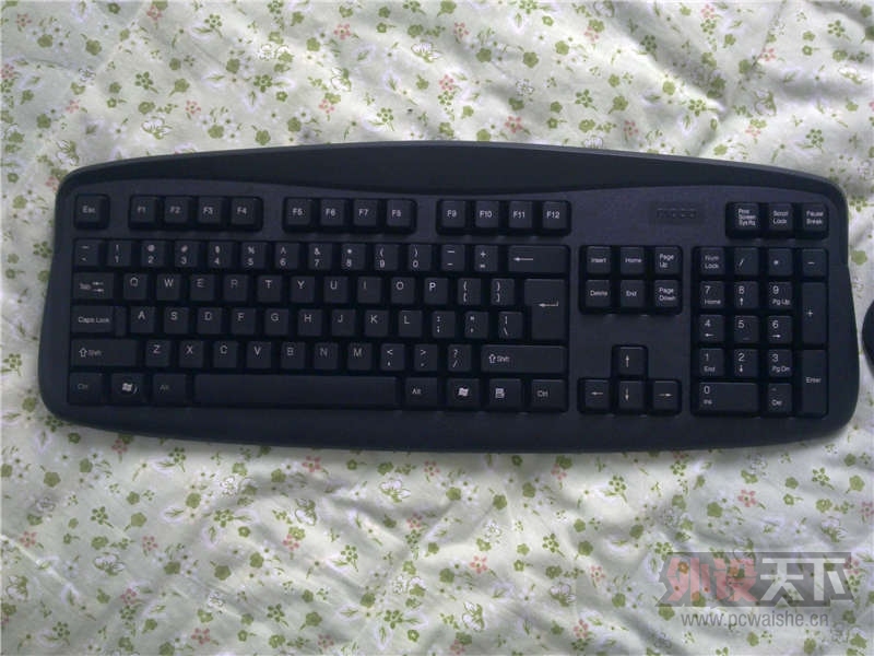 װ 1810 װ 50Ԫ
