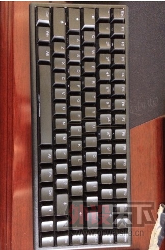 QQ1213244.jpg