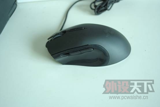 [22P] ���������Լ�������ѩ�׻�е����һ�Ѻ��������