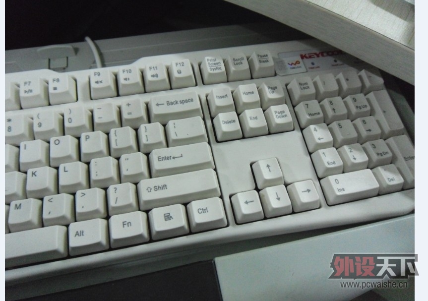 201024xee39xo1a3em3eaw.jpg