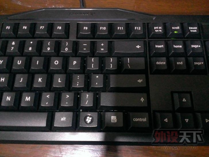 T1we8PFiRgXXaXSbc__728x728.jpg