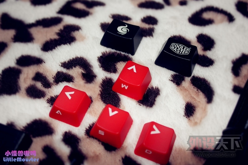 �����׷�  ����XT ���� ����