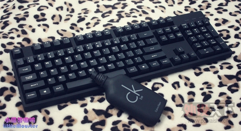 �����׷�  ����XT ���� ����