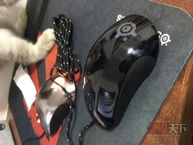 [����]sensei raw 95�� 280���ʻ�����2013