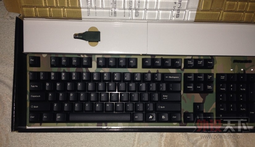 5321.JPG