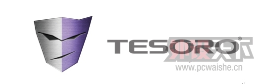 TESORO޷ȫһ֧ ȫʱеʽ羺