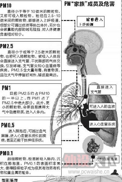 PM