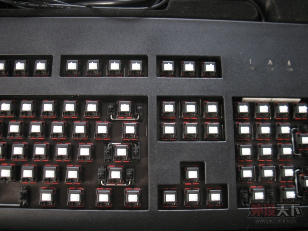 G80 30003.jpg