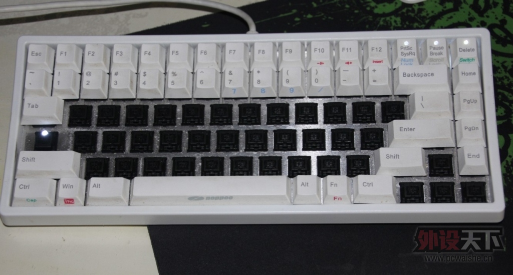 noppoo 1.jpg