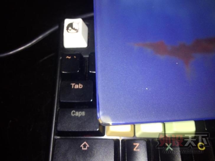 T2s_1LXstaXXXXXXXX_!!918592313_jpg_728x728.jpg
