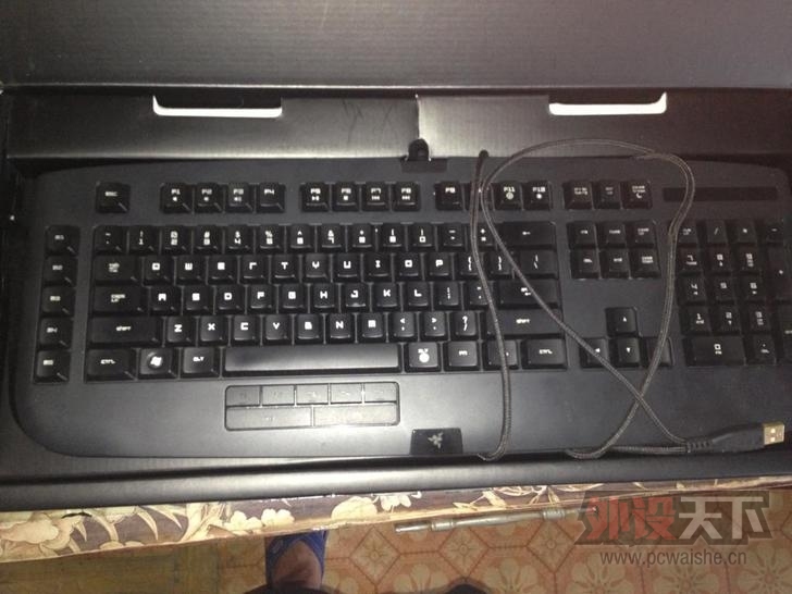 T1IuKWFh0dXXXYRyM._728x728.jpg