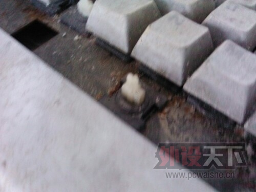 IMG20140106210645.jpg