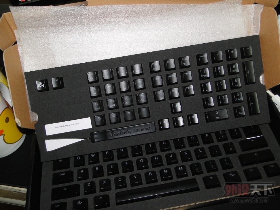 [��ɽ]ducky 9008 S2����ʺ�� 600 �㶫��˳�� ���AA