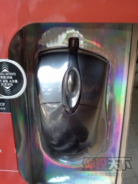 IMG226.jpg