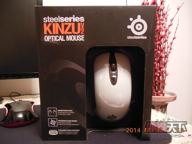Kinzu V2(1).jpg