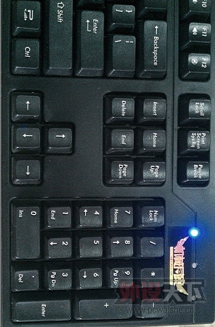 PLU-3000 POM׼ɫỻ