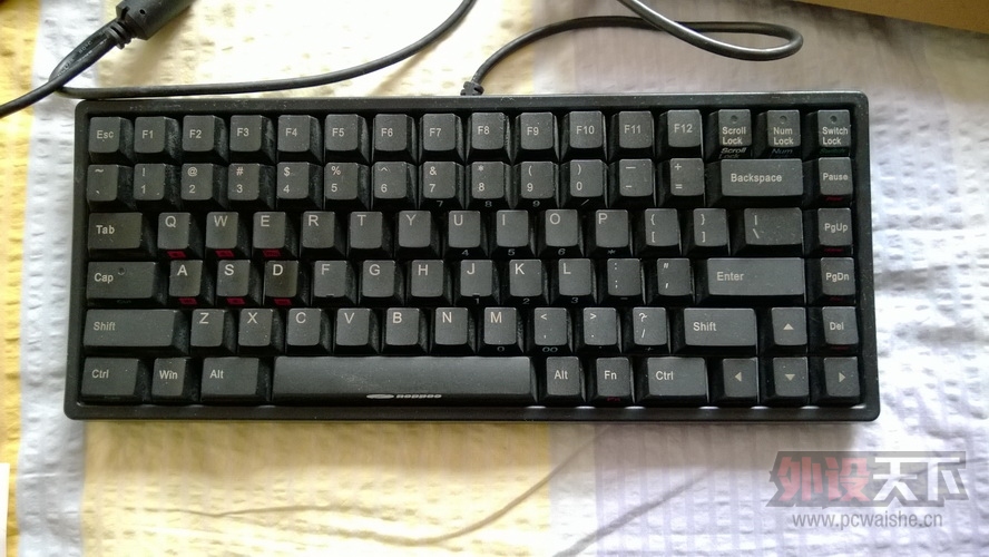 noppoo mini84 �� ������  �ѳ�