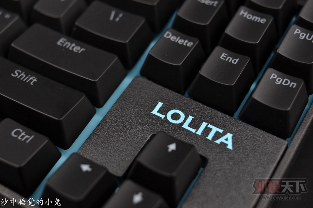 NOPPOO LOLITA�������������ᱳ���е����֮������