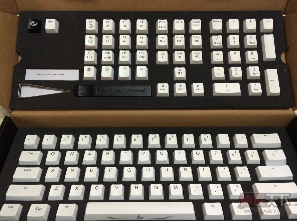 [ɽ]DuckyS3ɫ͸ñ 250 ~