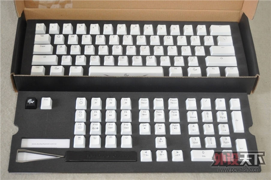 125347xdcycvkj3gu5iiyg.jpg