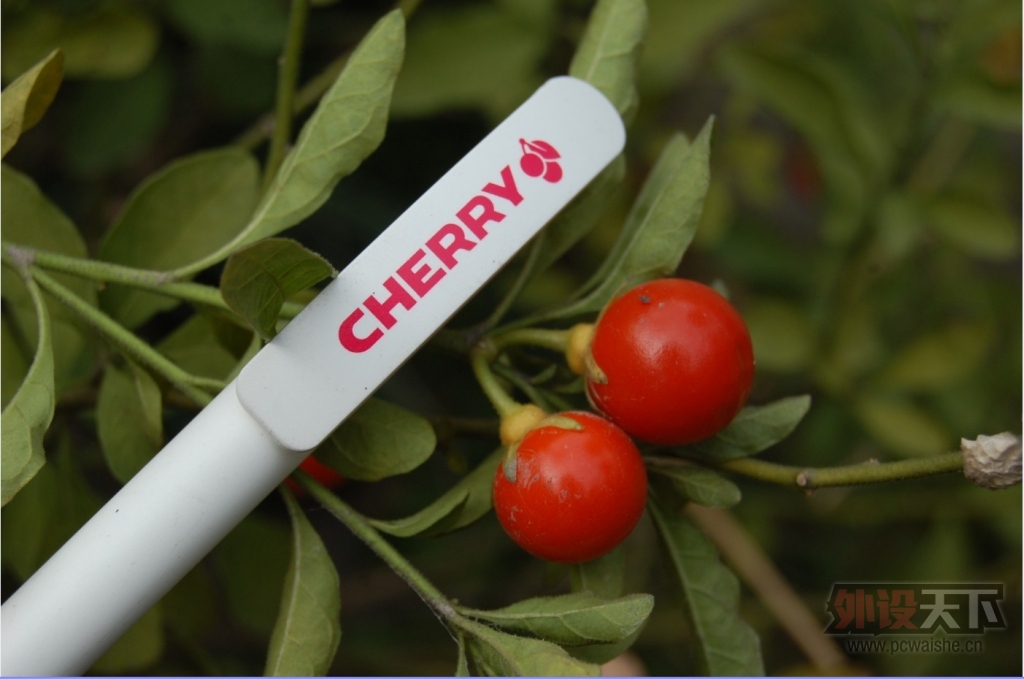 New Logo��Cherry��ԭ������ʿ�������ڡ�Բ���...������