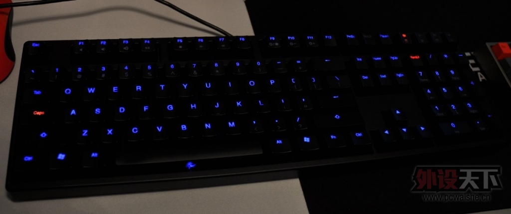 FILCODUCKY  