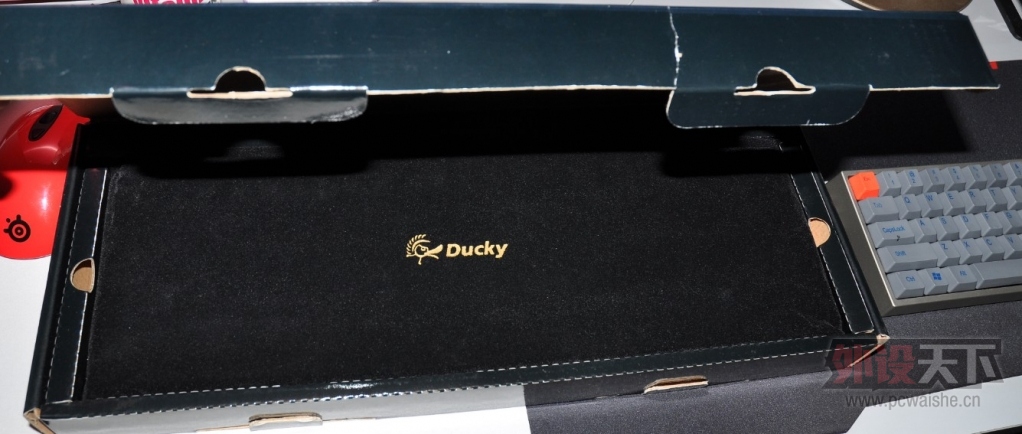 FILCODUCKY  