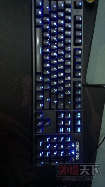 IMAG0066.jpg