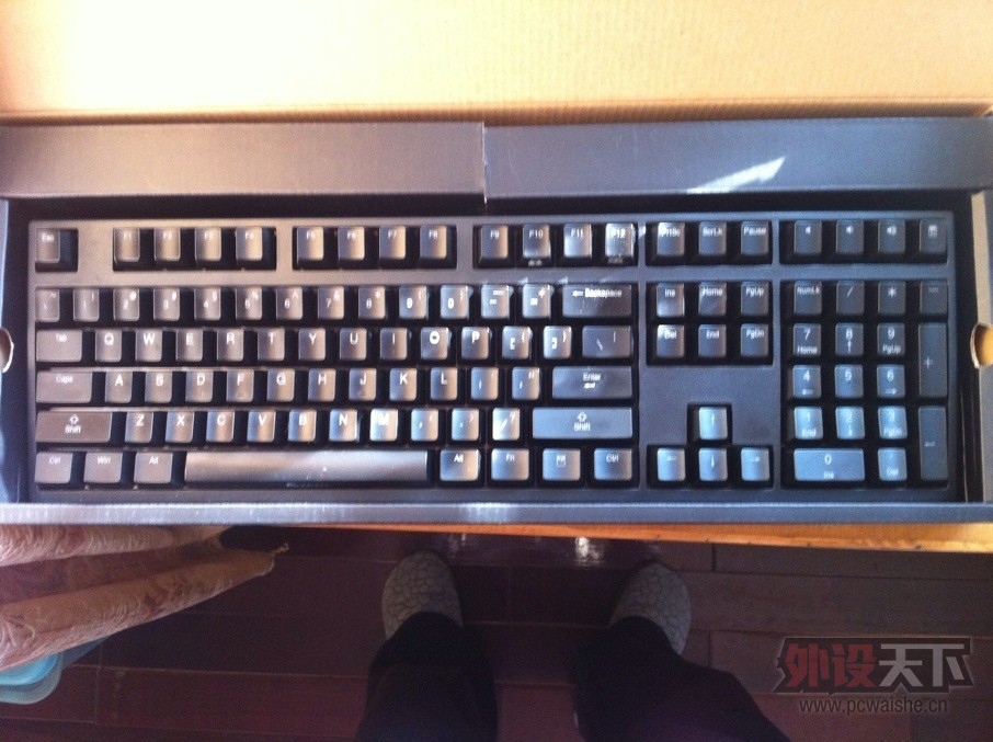 ducky1.jpg