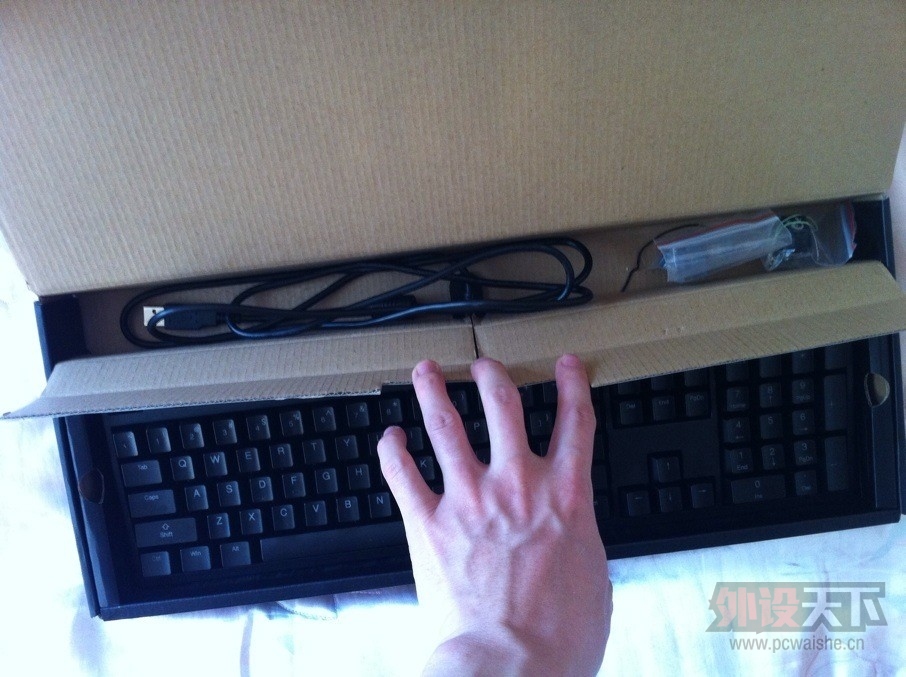 ducky3.jpg