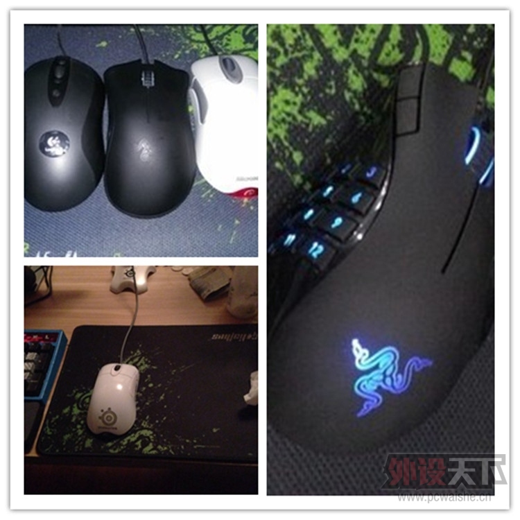 �����ݡ�������