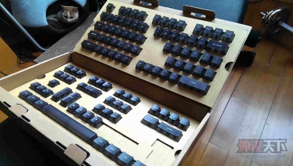 IMAG0127.jpg