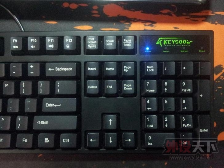 T2bXyJXDVaXXXXXXXX_!!673784956.jpg_728x728.jpg