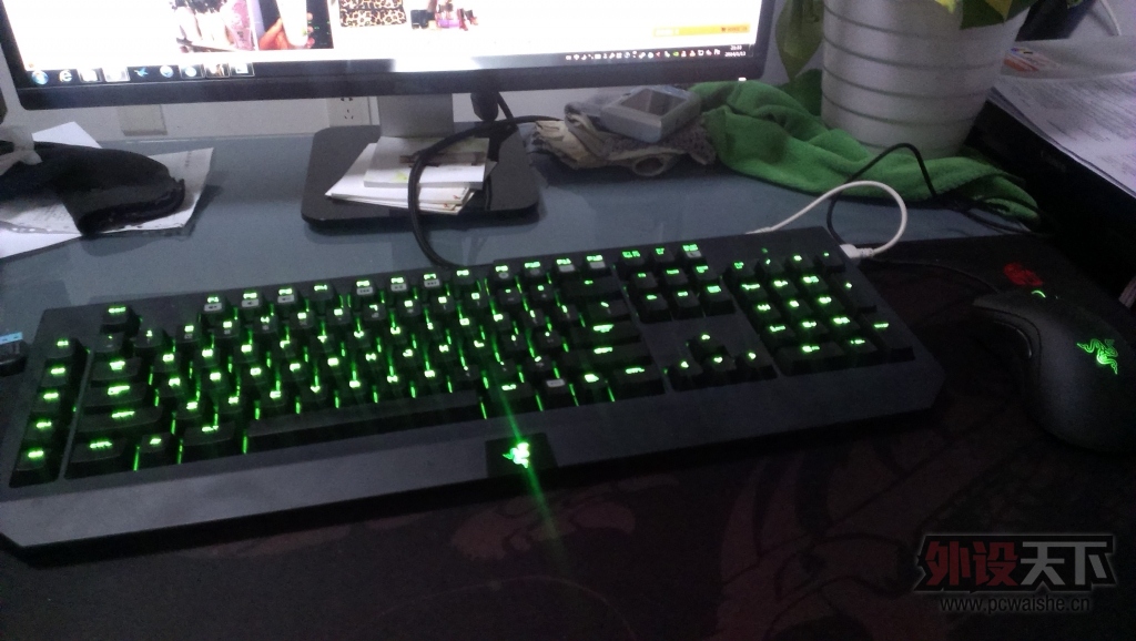 IMAG0136.jpg