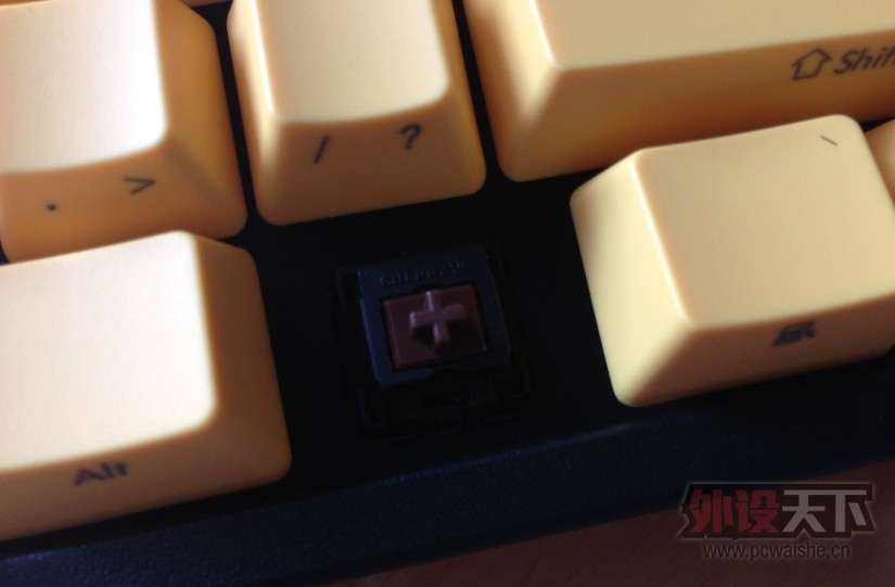 �����е����FILCO ����â����