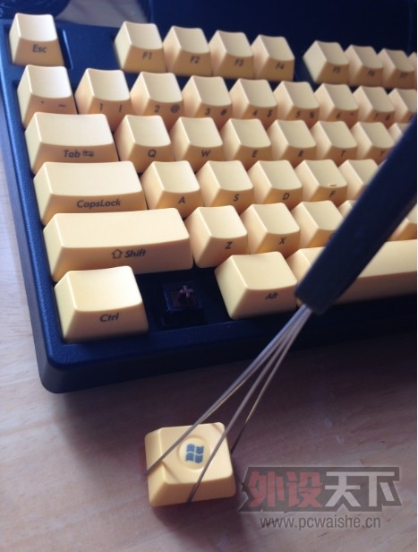 �����е����FILCO ����â����