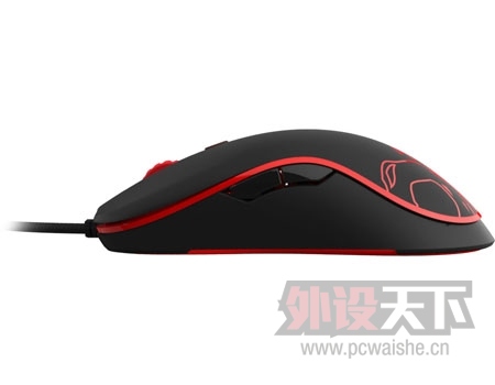 �����AM? Ozone Neon