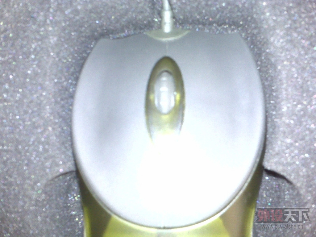 IMG00016.jpg