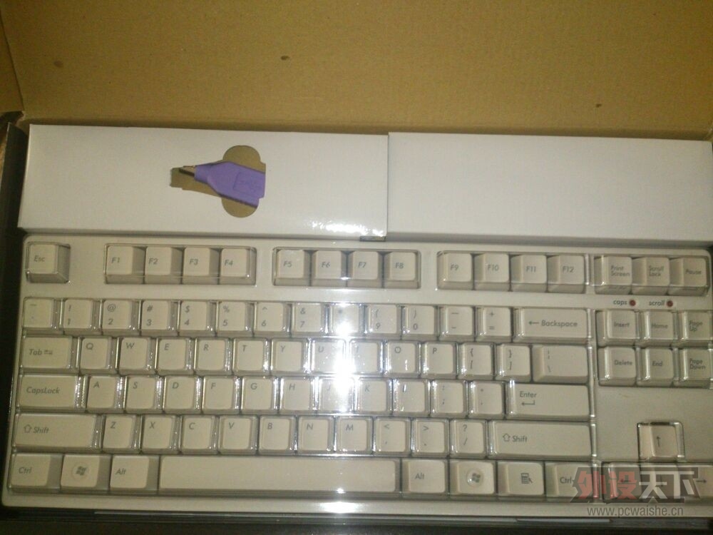 [���]FILCOʥ��2��87��ɫ����