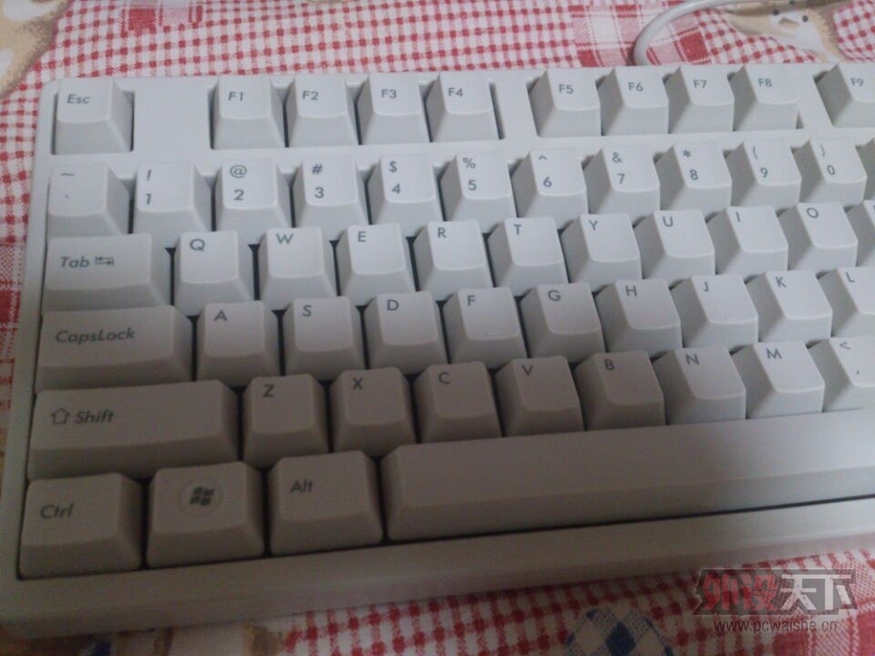 [���]FILCOʥ��2��87��ɫ����
