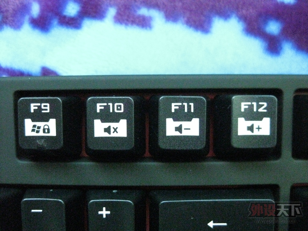 ˭˭֪Quickfire Rapidǹ